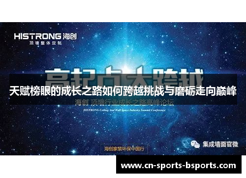 天赋榜眼的成长之路如何跨越挑战与磨砺走向巅峰