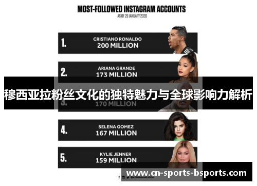 穆西亚拉粉丝文化的独特魅力与全球影响力解析