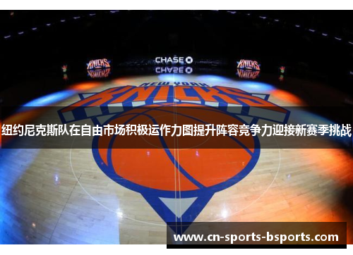 纽约尼克斯队在自由市场积极运作力图提升阵容竞争力迎接新赛季挑战