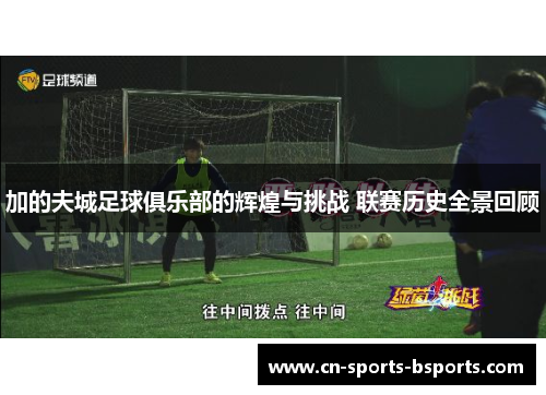 加的夫城足球俱乐部的辉煌与挑战 联赛历史全景回顾