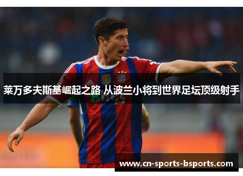 莱万多夫斯基崛起之路 从波兰小将到世界足坛顶级射手