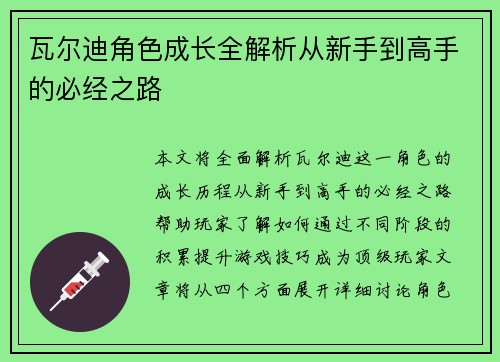 瓦尔迪角色成长全解析从新手到高手的必经之路