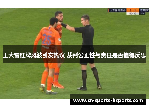 王大雷红牌风波引发热议 裁判公正性与责任是否值得反思