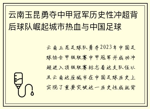 云南玉昆勇夺中甲冠军历史性冲超背后球队崛起城市热血与中国足球