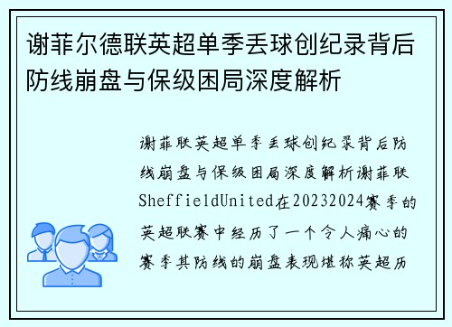 谢菲尔德联英超单季丢球创纪录背后防线崩盘与保级困局深度解析