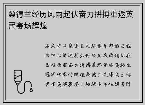 桑德兰经历风雨起伏奋力拼搏重返英冠赛场辉煌